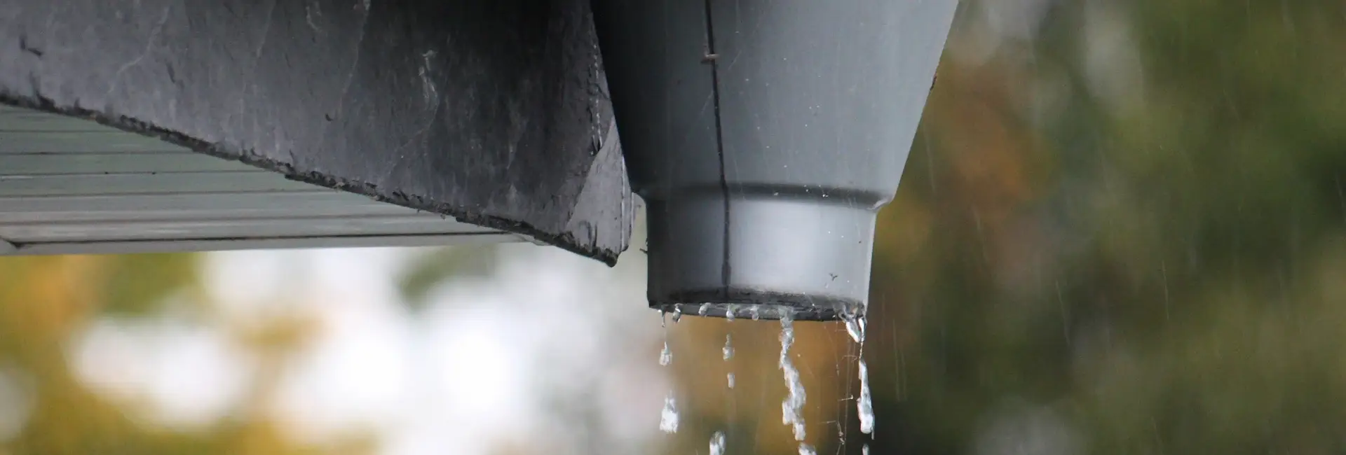 Nahaufnahme eines grauen Fallrohrs, von dessen Rand Wasser tropft, vor einem unscharfen grünen Hintergrund.